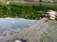 River sewage claim is dismissed by NRW