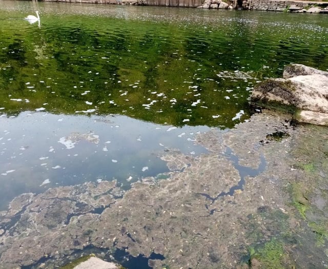 River sewage claim is dismissed by NRW