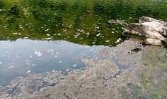 River sewage claim is dismissed by NRW