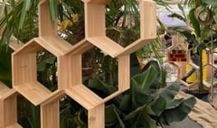 Bee charity wins silver medal at Chelsea Flower Show