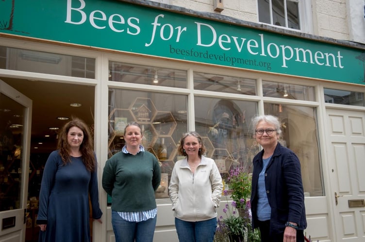 Bees pic by Des 