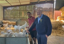 Celebrating Welsh Food and Farming Week on the farm