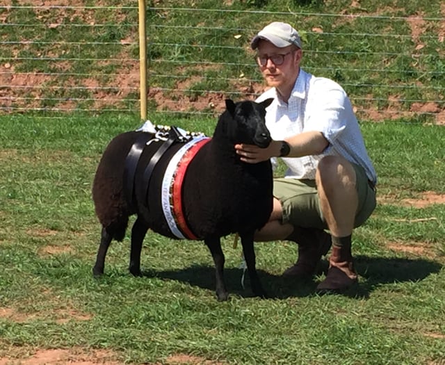 Black Welsh Mountain Sheep Society celebrate cenetary