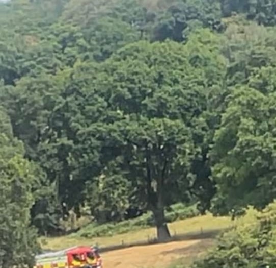 Family tribute to man killed at Wyesham