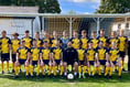 Kingfishers home in on victory to down Vale