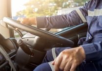 Government plans for lorry drivers could lead to ‘chaos’