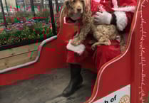 Rotary helps Santa with his visits around the town