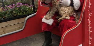Rotary helps Santa with his visits around the town