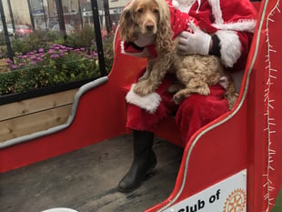 Rotary helps Santa with his visits around the town