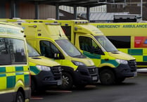 More than a quarter of ambulance patients waited more than an hour at the Wye Valley Trust last week