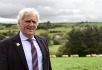 ‘Welsh agriculture needs support of the Welsh government in 2023’