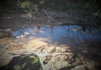 Farmer fined for  failing to dispose of dead animals