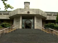 OAP given jail warning over woman's crash death