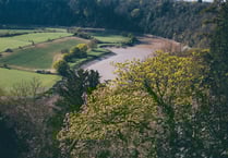 MPs hold session to examine sewage discharges in Wales 
