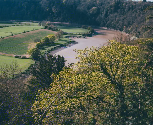 MPs hold session to examine sewage discharges in Wales 