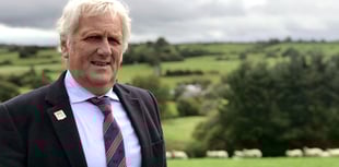 Increase in lamb imports should serve as a stark warning, says FUW