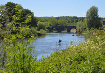 Wildlife Trusts fears for River Wye after Natural England downgrade