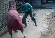 Farrier beat horse with a hammer in brutal attack