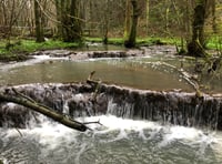 Travertine Dams of Slade Brook walk




