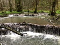 Travertine Dams of Slade Brook walk



