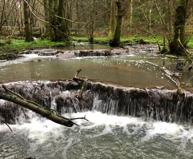 Travertine Dams of Slade Brook walk




