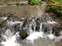 Wye Valley's unique tufa dams