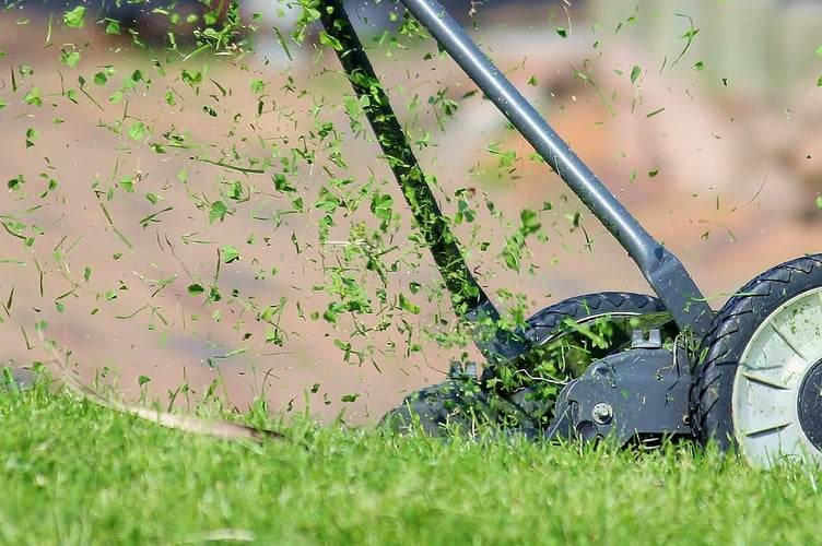 Wellington Town Council face a bill in excess of £9000 for monthly grass cuts and biweekly bin collections at the Richards Close play area