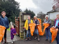 Llandogo WI set up successful litter pick in their community