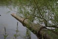 Water execs slammed for over a million in bonuses