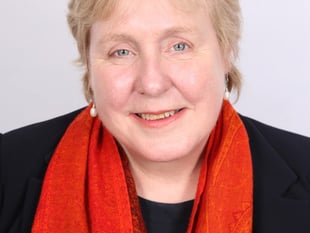 VIEW FROM COUNTY HALL: Cllr Mary Ann Brocklesby writes...