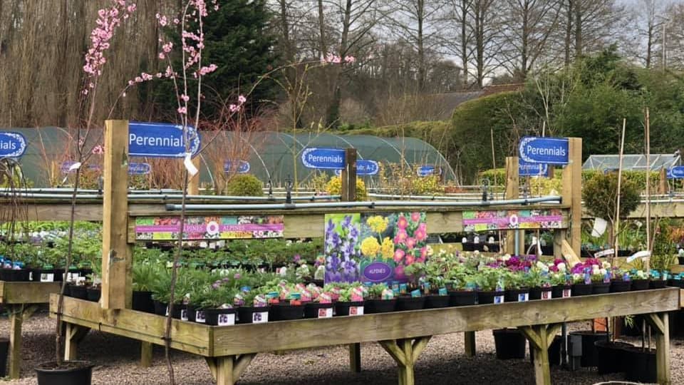 Willows Garden Centre to stay open despite sixhouse development