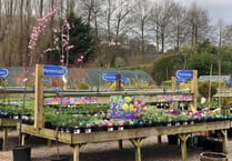 Garden centre reassures customers amid housing development approval
