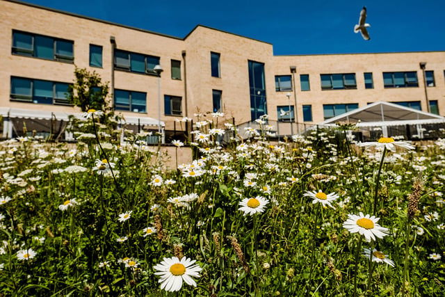 Schools to open as base for others to find community support