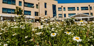 Monmouthshire schools unite communities with support events 