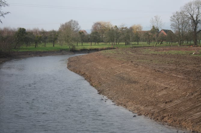An area of woodland beside the River Lugg was bulldozed. Photo: Environment Agency.