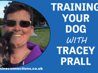 Training your dog with Tracey Prall - keep dogs on leads near sheep