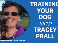 Dog Training with Tracey Prall: The advantages of hydrotherapy