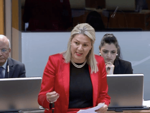 Senedd member fears school tax will hurt jobs