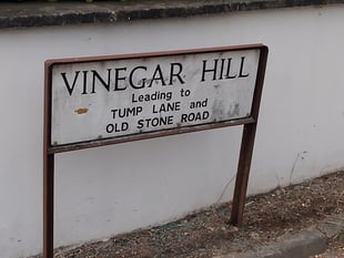 Green light for new homes on hill in Undy