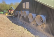 'Noisy' chicken shed fans at Monmouthshire farm to be removed