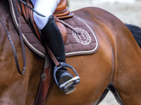Rising costs force equestrian centre to close