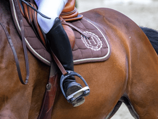 Rising costs force equestrian centre to close