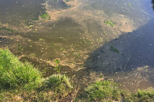 Water bosses grilled by MSs over illegal sewage spills