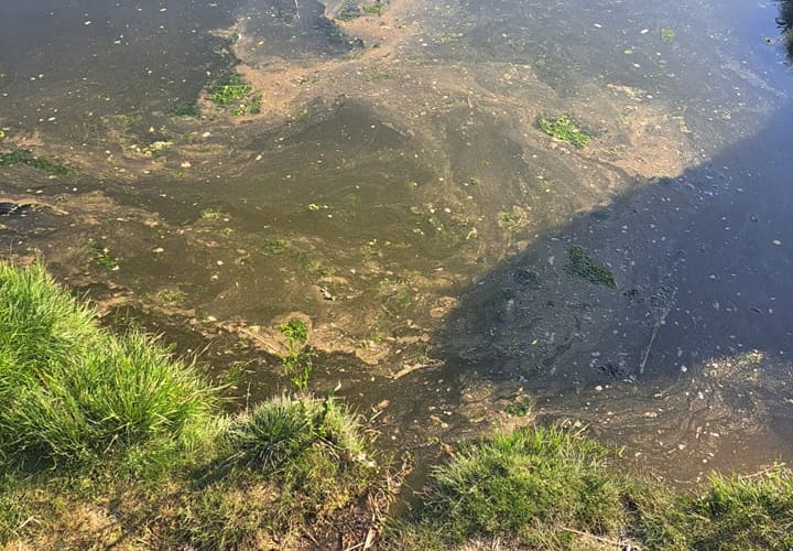 Philippa Noble is just one of those who have posted concerning images of sewage in the Teifi in Cardigan in the last few months