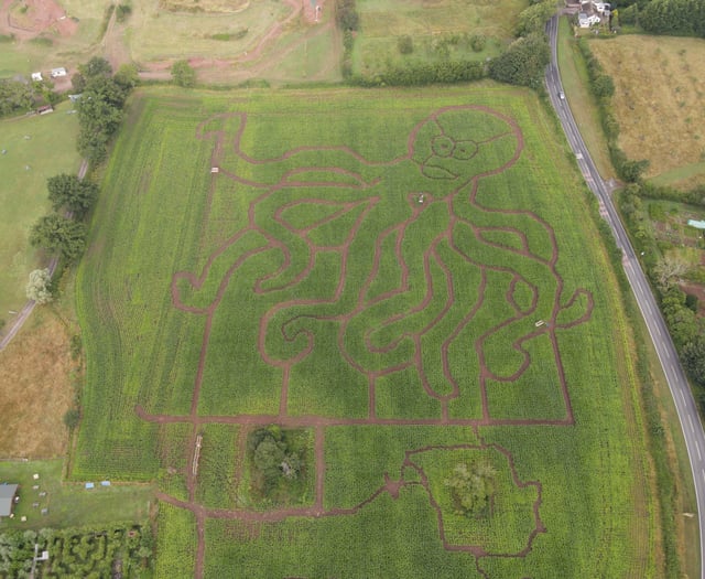 A-maze-ing octopus and coral reef at Elton