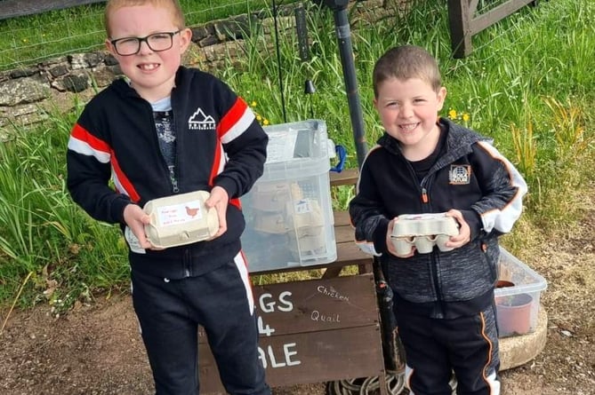 Jack and Harvey, young entrepreneurs 