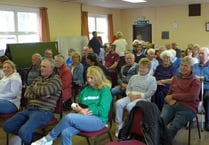 Monmouth, Mitchel Troy travellers' pitches 'unsuitable', council rule