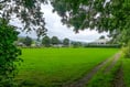 Biodiversity plan for the Town Field raises concern