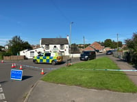 Man in serious condition and three arrested after Berry Hill stabbing