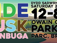 Celebrate diversity at Pride in Usk